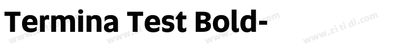 Termina Test Bold字体转换